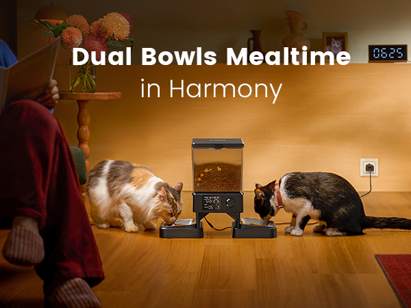 Automatic cat feeder