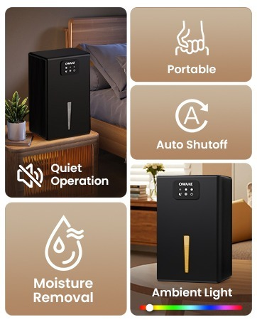 dehumidifiers foe home