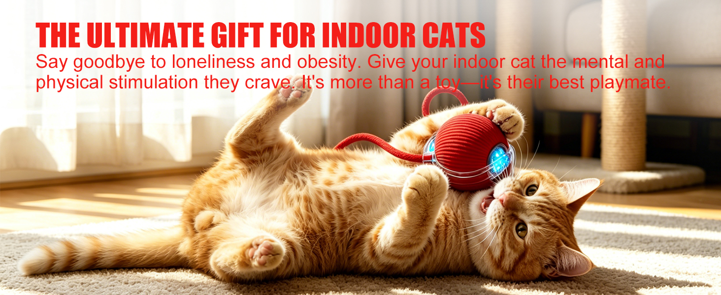 ultimte cat toys