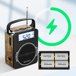 Digital Bluetooth AM FM Radio