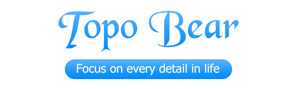 topo bear band