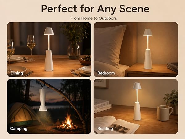 Perfect for Any Scene