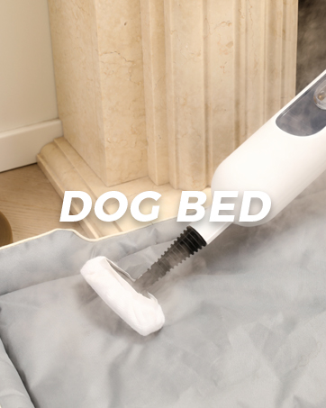 Steam mop cleaning dog bed