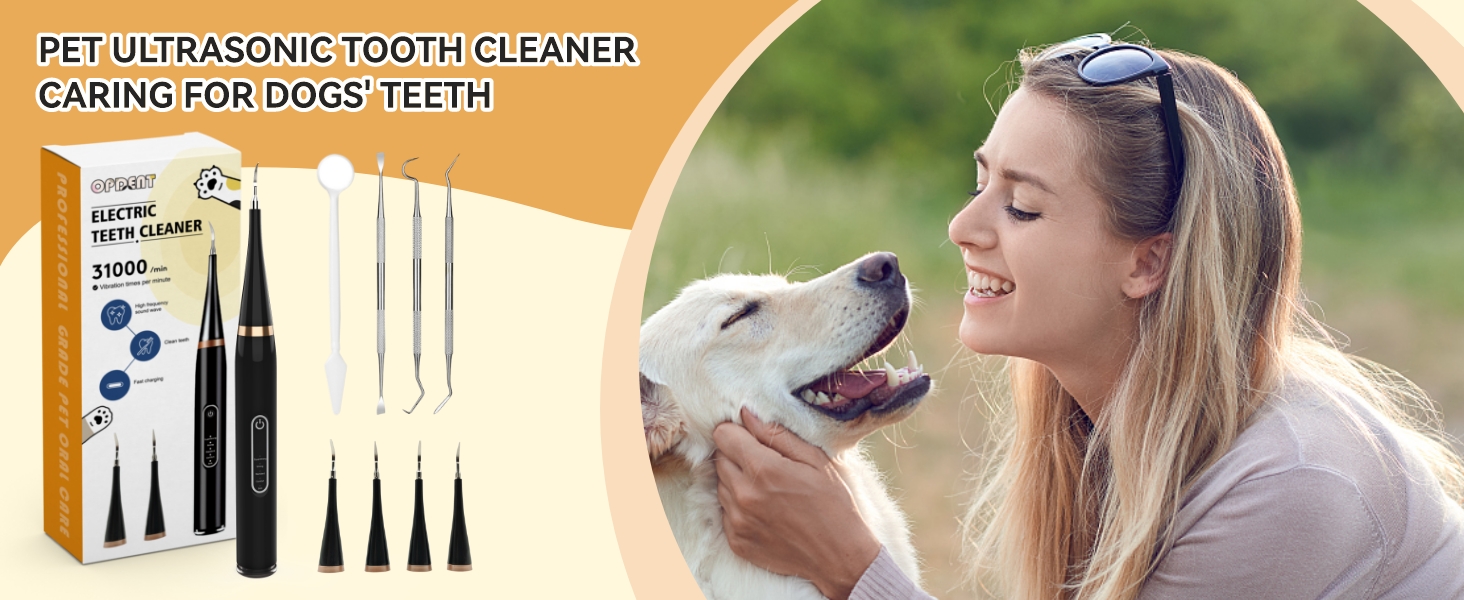 dog teeth cleaner