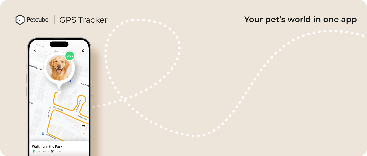 Petcube GPS Tracker 2025