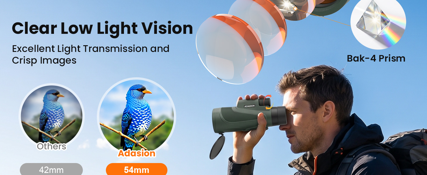 Clear Low Light Vision