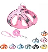 Harness Small Sized Dog, No-Pull Puppy Vest with Leash Set, Breathable Mesh Reflective Pet Harnes...