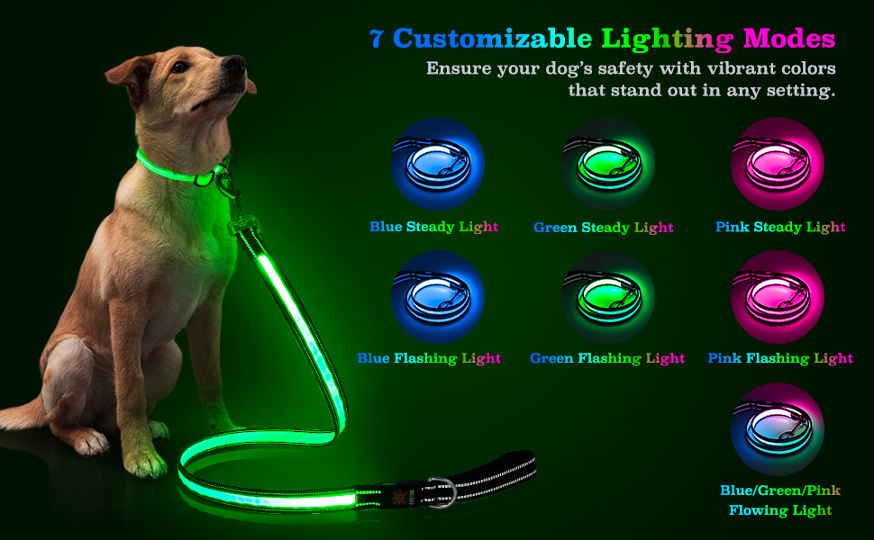 led dog leash