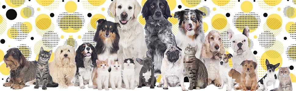 Nail Care For Dogs &amp; Cats Of All Breeds &amp; Sizes