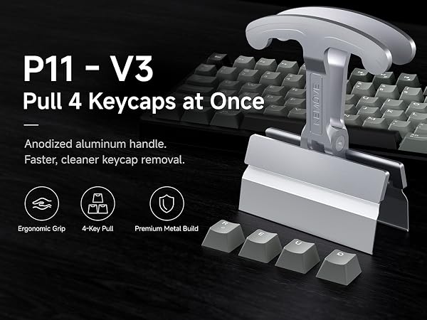 P11-V3