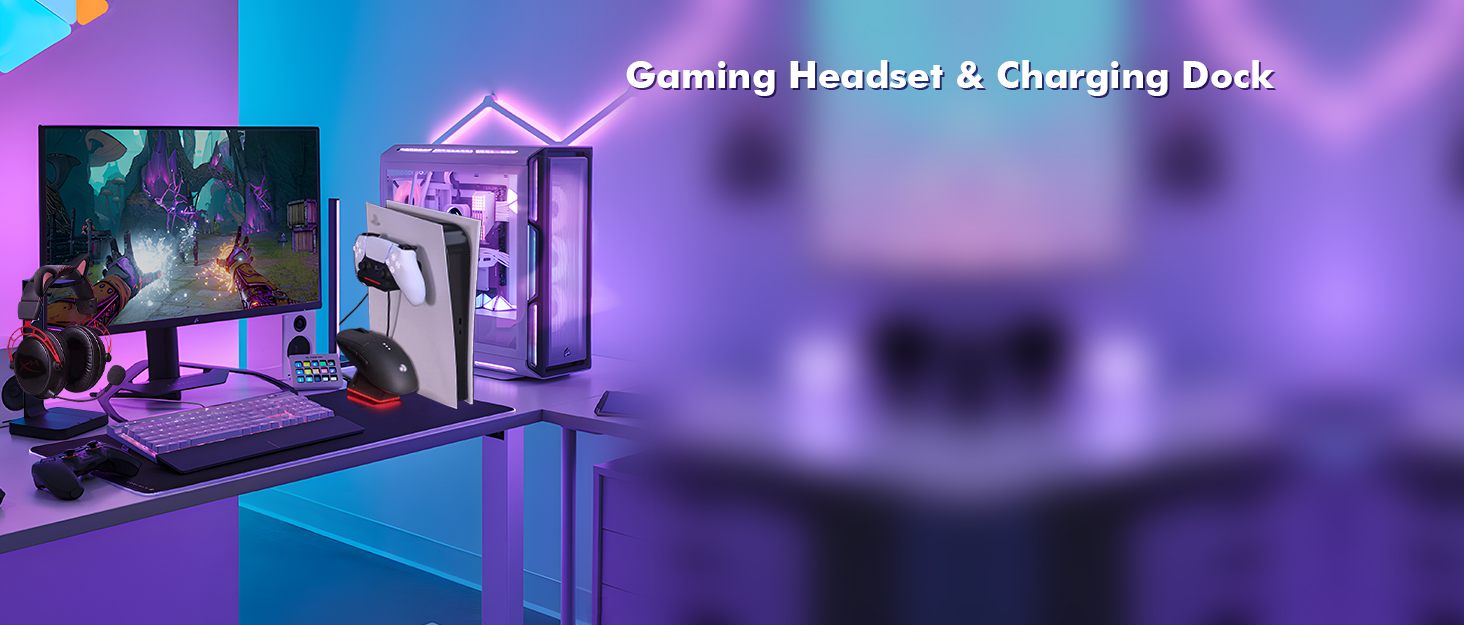 REEYEAR Focus on supply the high quality gaming accessories include the mic ,charger,storage holders