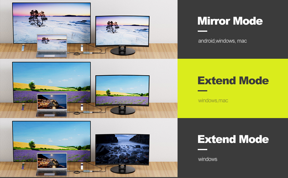 USB C to Dual DisplayPort adapter