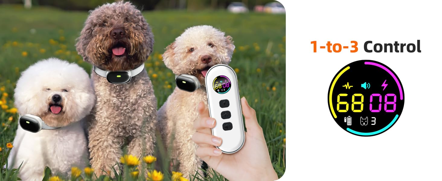 shock collar small dog shock collar dog training collar cat shock collar
