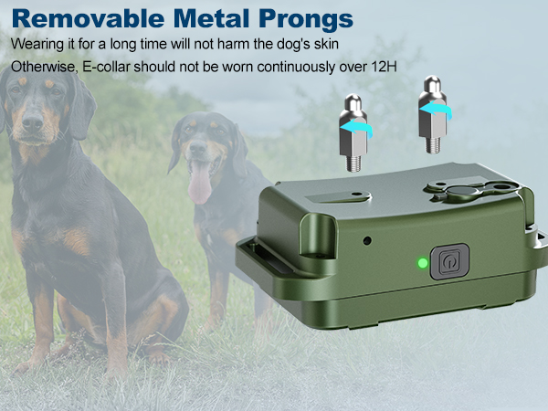 dog training collar