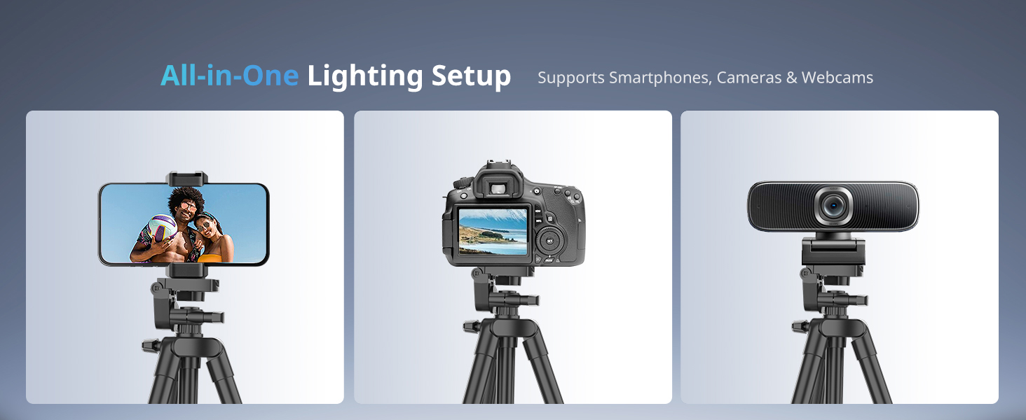 aro de luz profesional