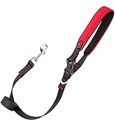 Gooby Escape Free Sport Leash - Red, 4 FT - Neoprene Dog Leash with Quick Release Buckle - Comfor...