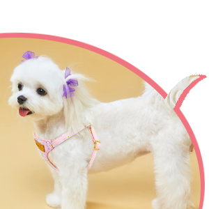 puppy harness