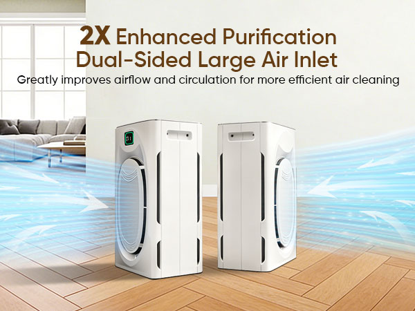 pet hair air purifiers for home