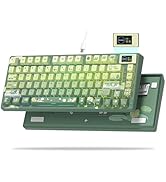 Womier SK80 75% Keyboard with Color Multimedia Display Mechanical Gaming Keyboard Cute Green Frog...
