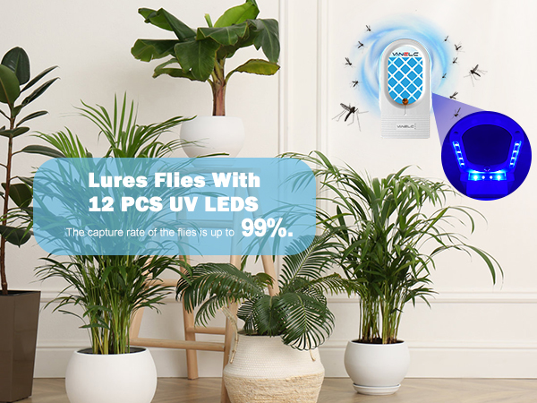  Fruit Fly Killer and Plug in Bug Catcher - Traps with UV Light