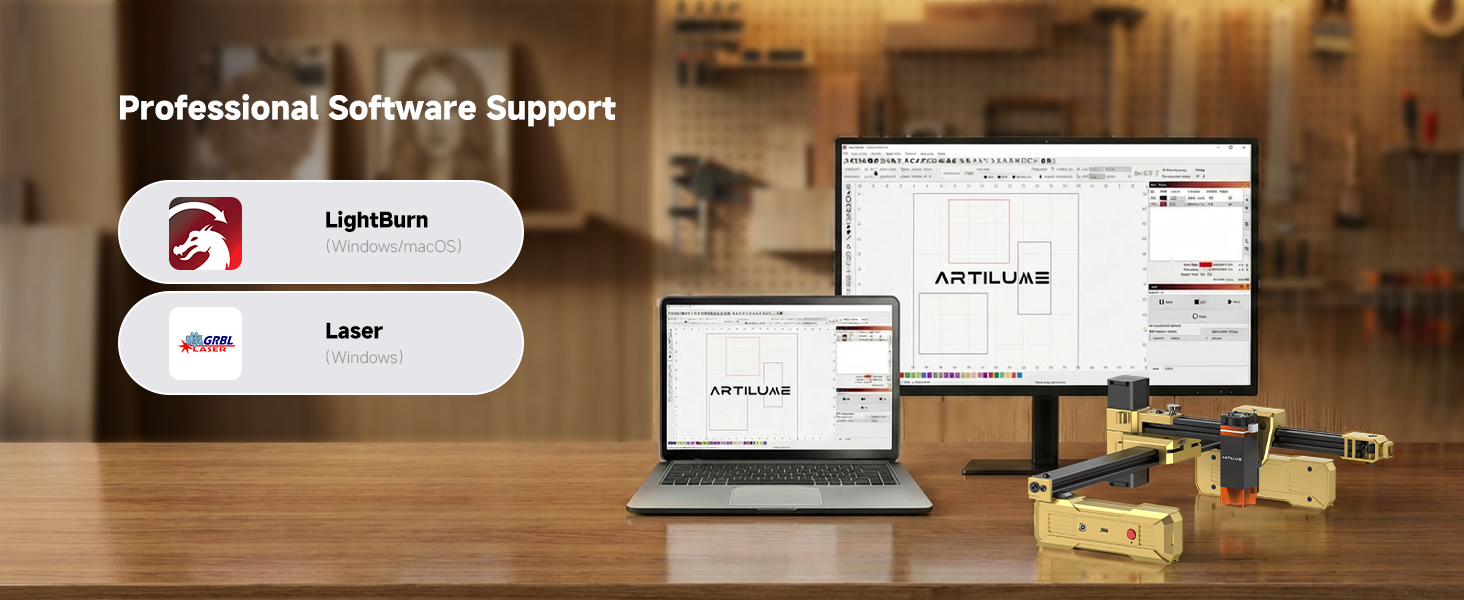 Professional Software Support