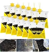 Glovv Fly Traps Outdoor Hanging with Fly Bait, 12 Pack Disposable Bags Hunter Ranch Trap, Flies C...