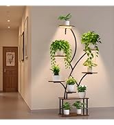 VEVOR Plant Stand Indoor with Grow Lights, 62 in Tall 8-Tier Lighted Plant Shelf, Metal Corner Pl...