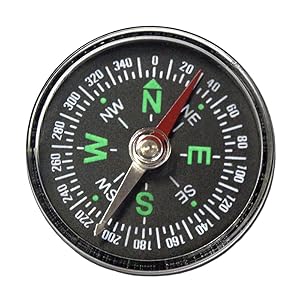Magnetic Compass Face