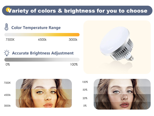 Softbox Photography Lighting Kit