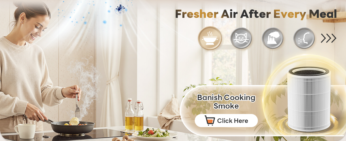 air purifer for kitchen