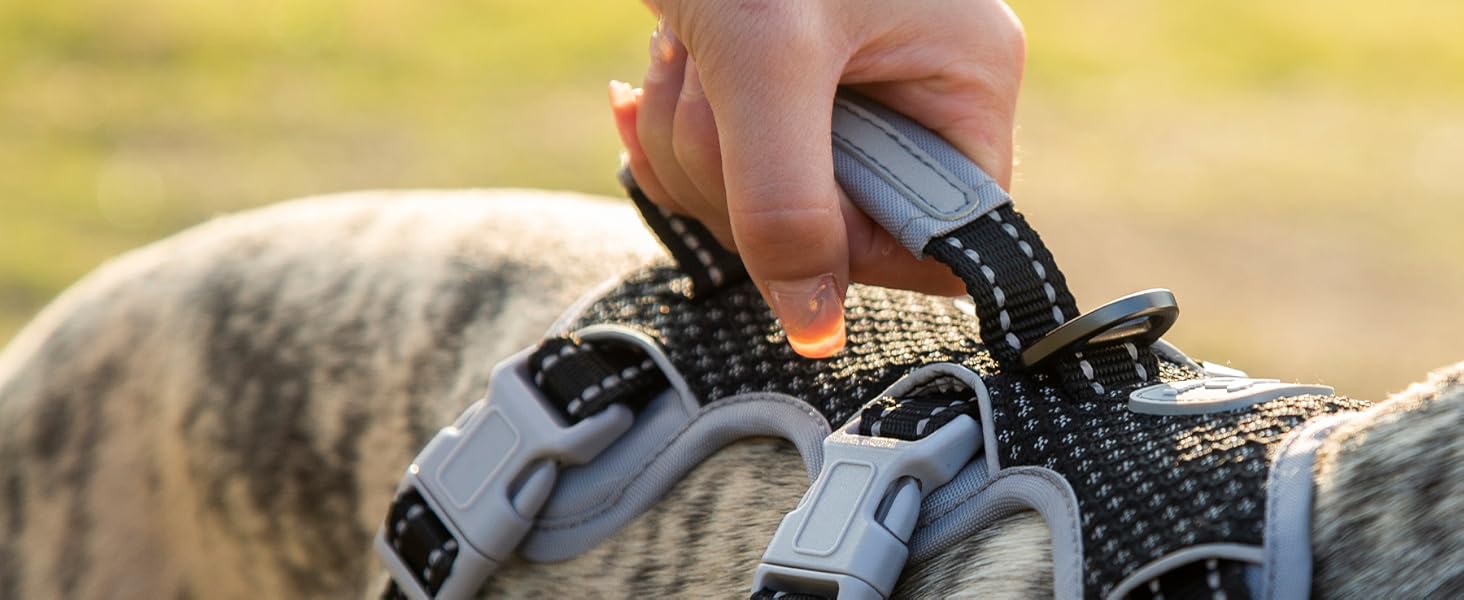 no escape dog harness