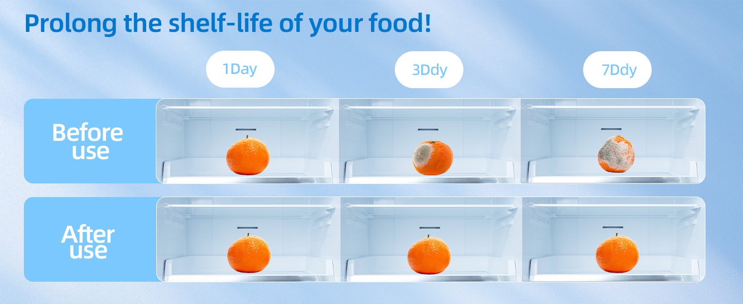 fridge deodorizer