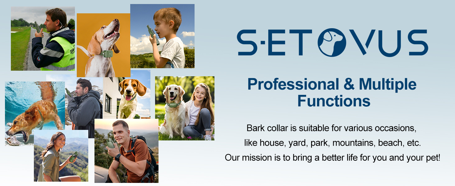 dog training collar