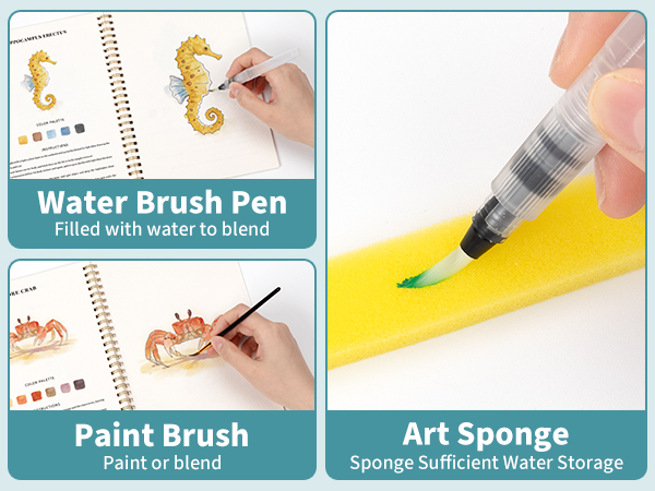 Beginner-Friendly Watercolor Workbooks