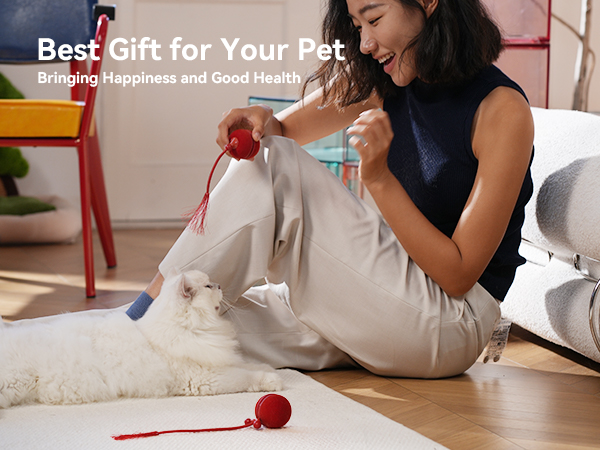 smart interactive pet toy ball