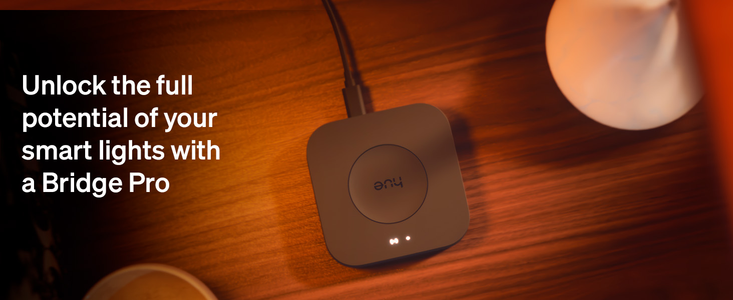 Hue Bridge Pro