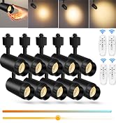 track lighting 10 pack
