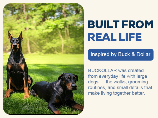 Buck and Dollar in the grass with BUCKOLLAR brand story.