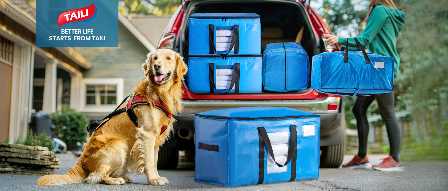 moving bags