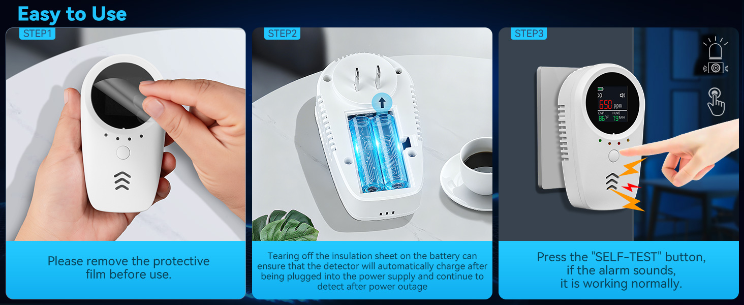 carbon monoxide and gas detector with backup battery
