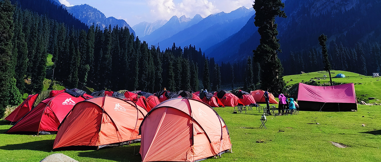 Travel Shoe and Boot Dryer 