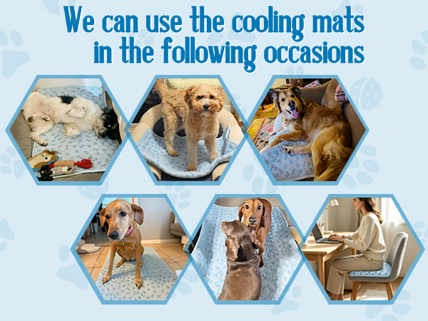 dog cooling mat for car cooling dog beds for large dogs