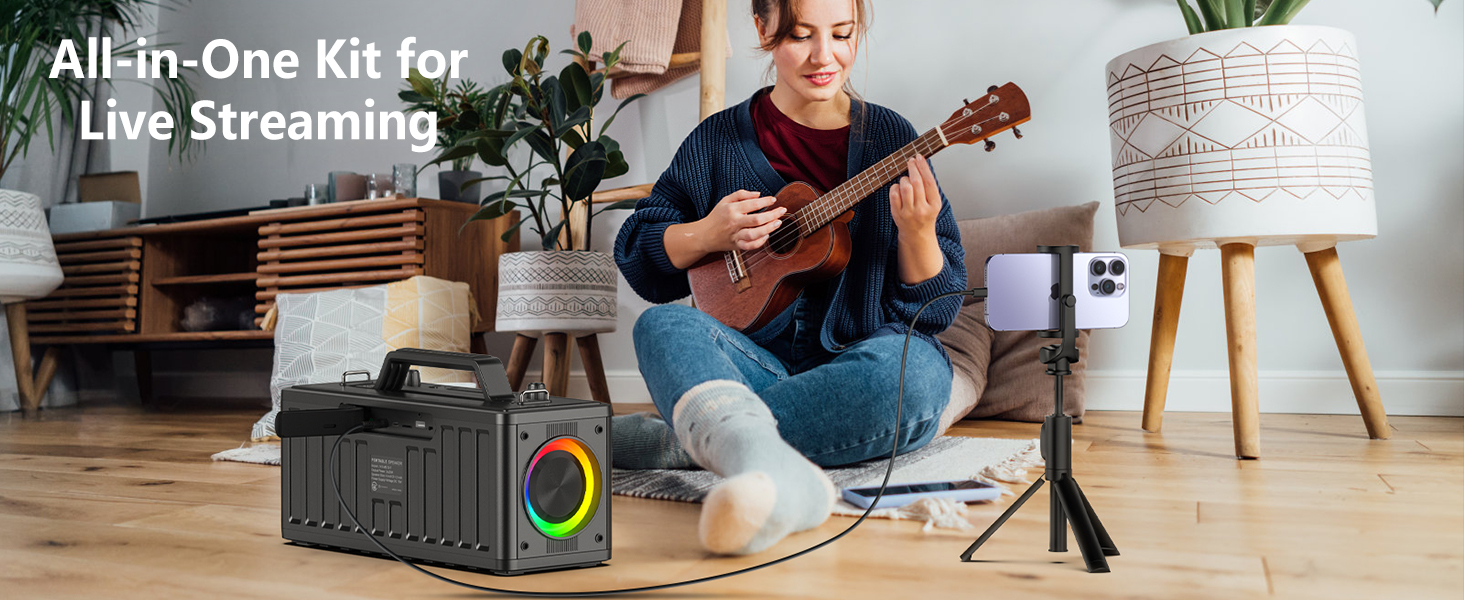 bluetooth karokee machine for adults