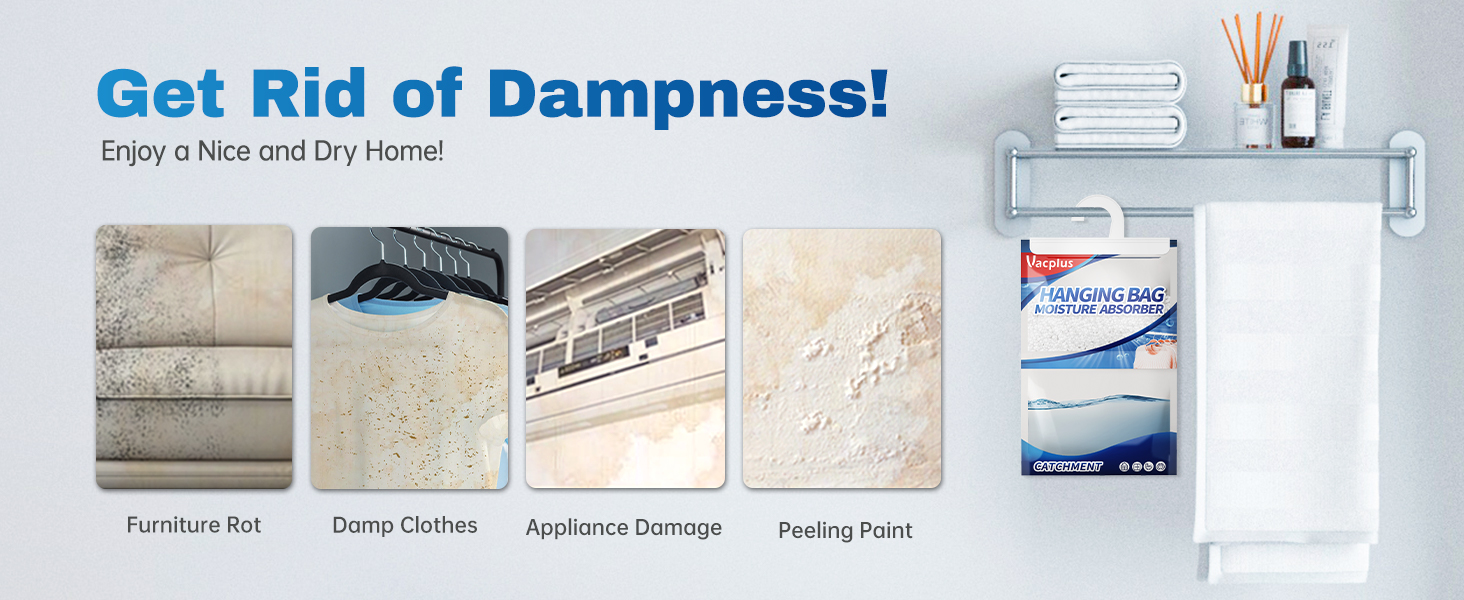 Get Rid of Dampness!