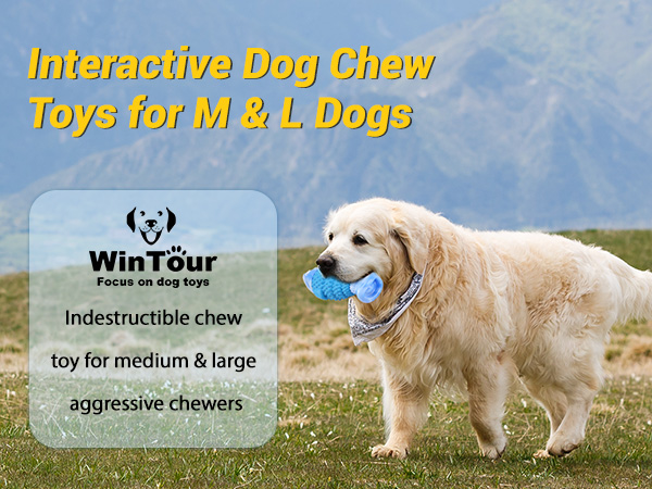 dog toys