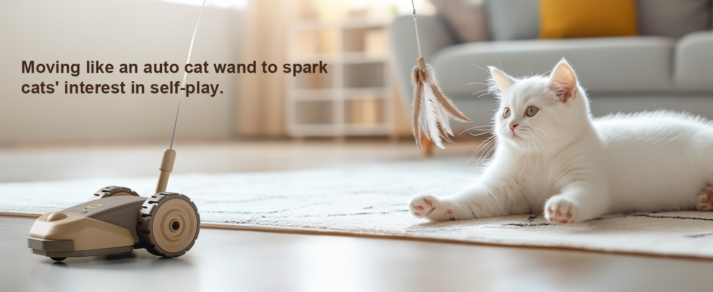 Interactive Cat Toy