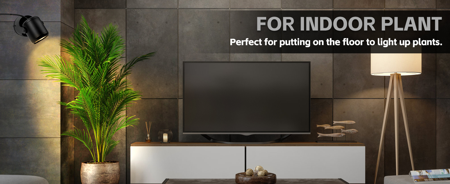 uplighting indoor