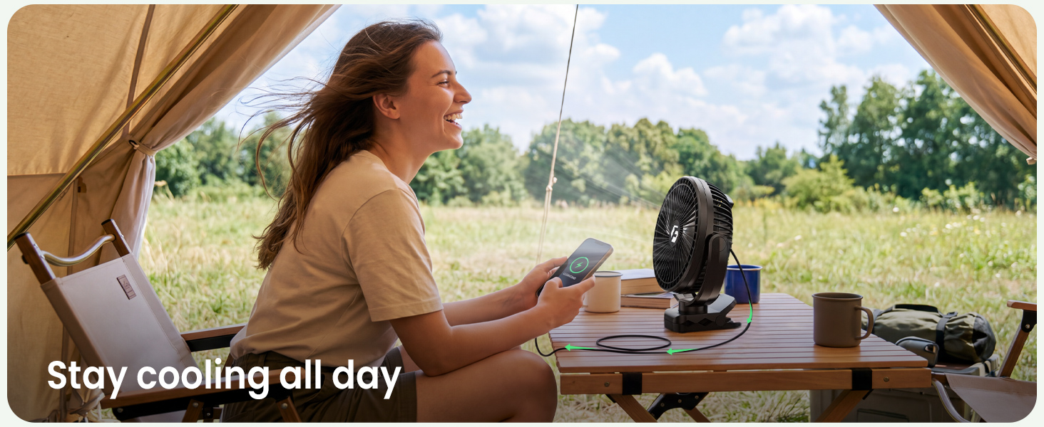 Desk Fan