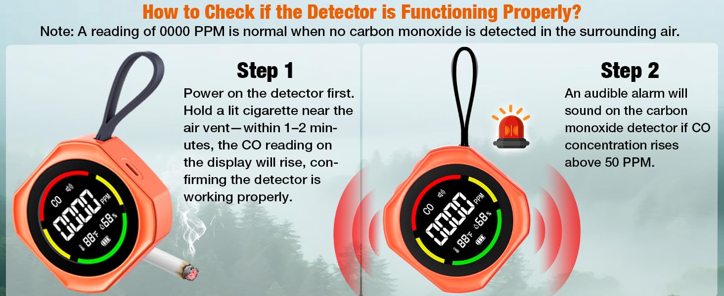 Portable Carbon Monoxide Detectors