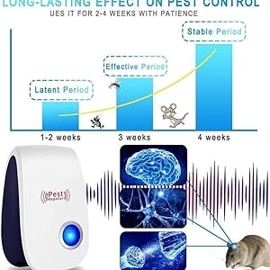 Ultrasonic pest repeller results timeline 2 to 4 weeks